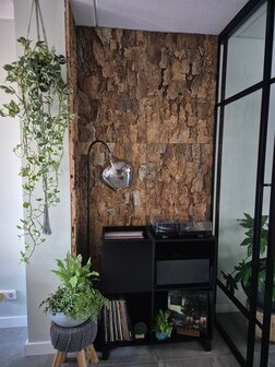 kurk-wand-forest-back
