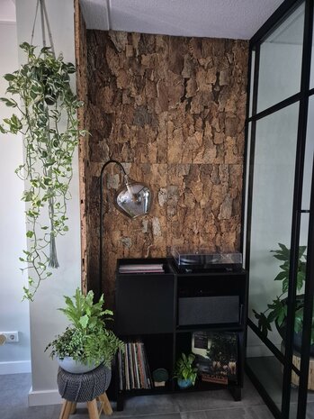 kurk-wand-forest-back