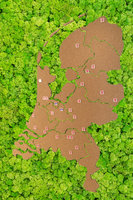 Moswand kopen met kurk landkaart Nederland