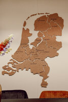 Kaart Nederland provincies en hoofdsteden